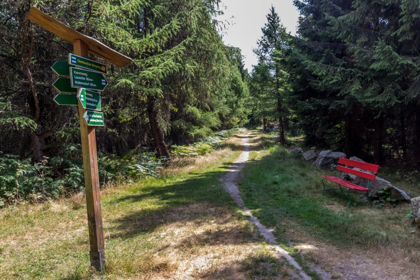 An image depicting the trail Oberlausitzer Bergweg and its surrounding area.