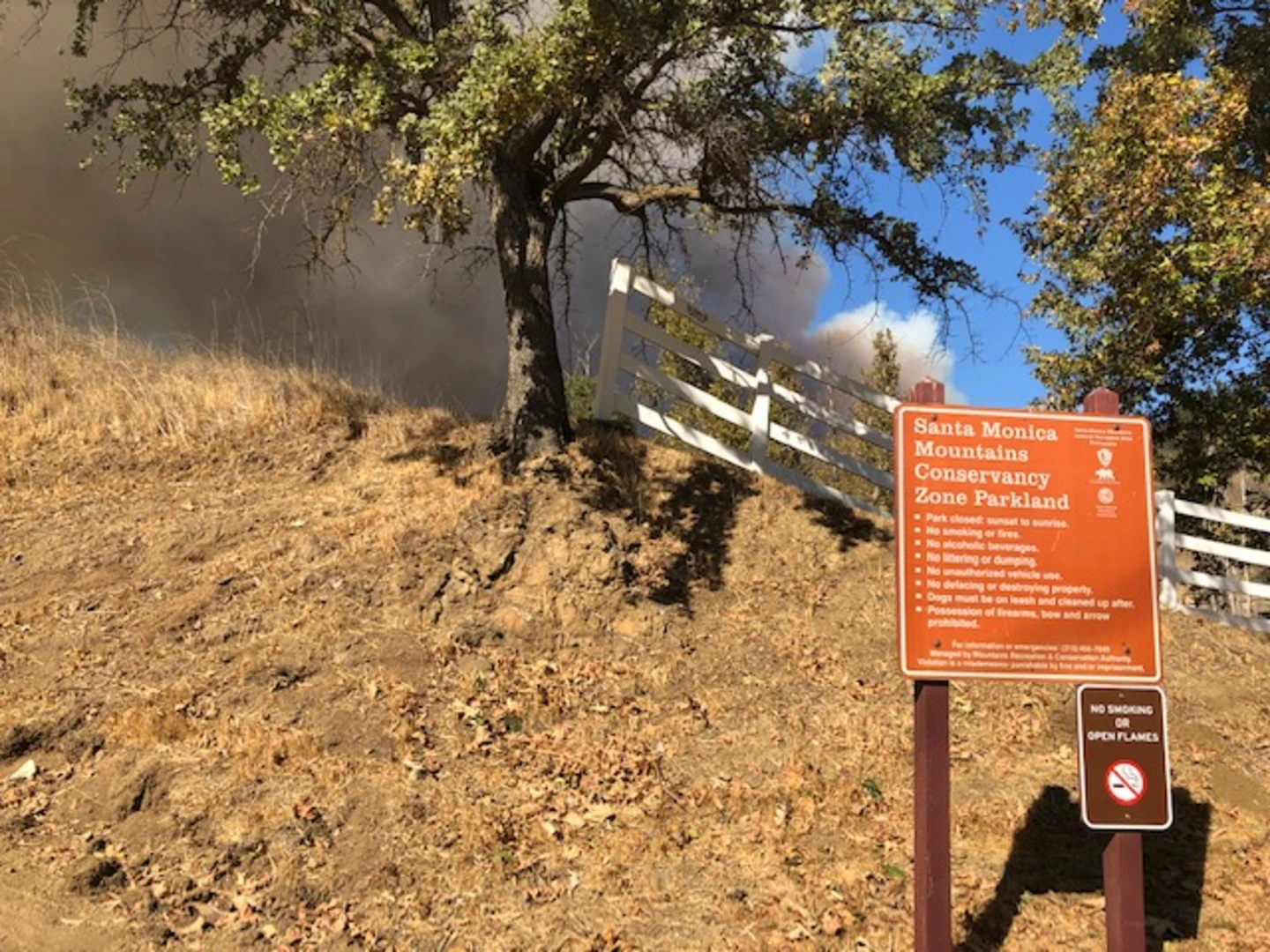 An image depicting the trail New Millennium Trail and its surrounding area.