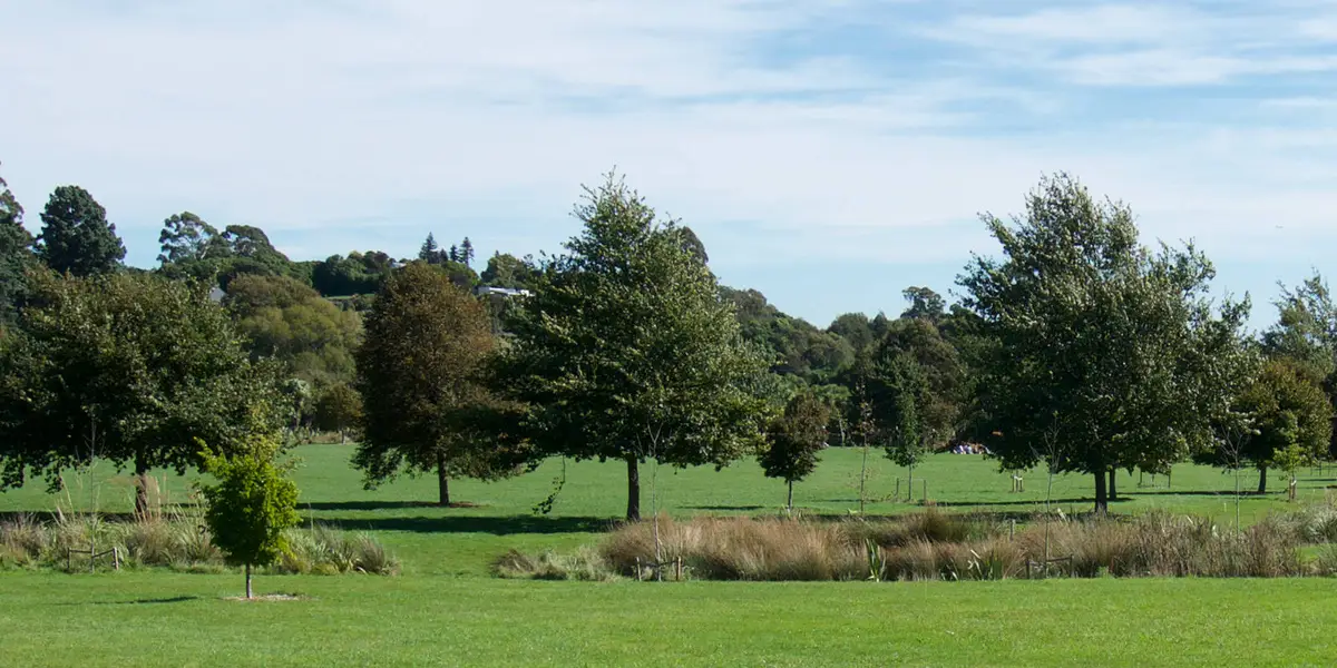 Old Halswell Quarry Loop