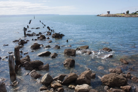 Ahuriri Estuary Walking Track