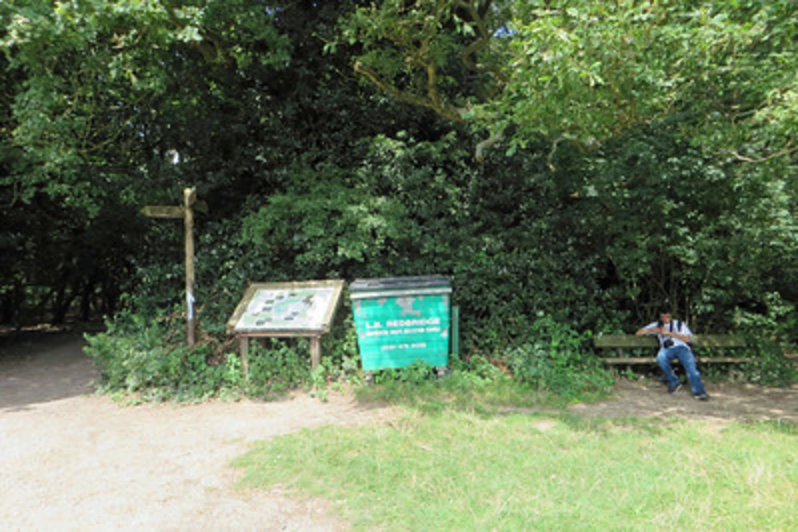 An image depicting the trail Foreberry Wood North and Spurgate Plain Walk and its surrounding area.