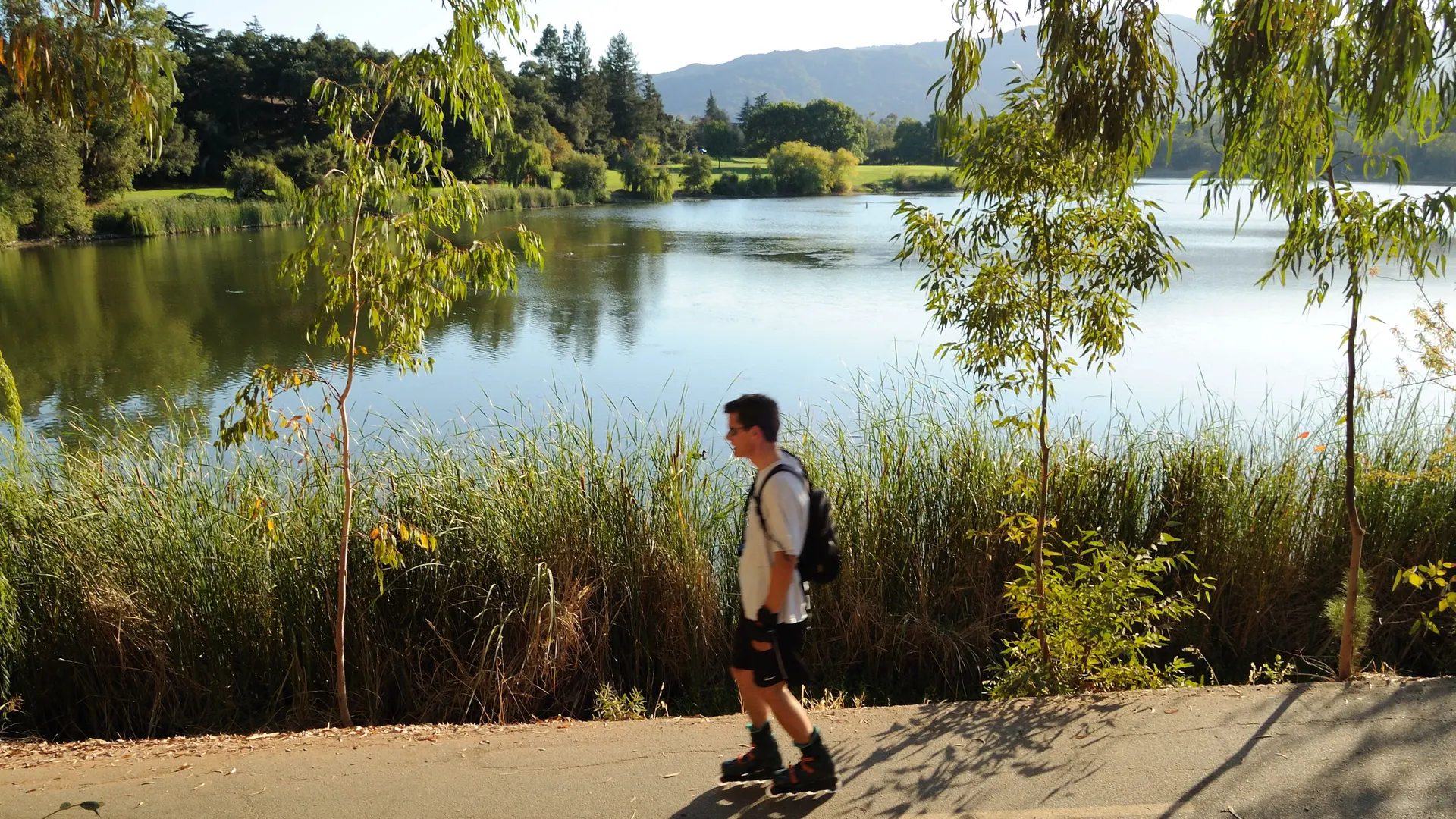 An image depicting the trail Vasona Reservoir via Los Gatos Creek Trail and its surrounding area.