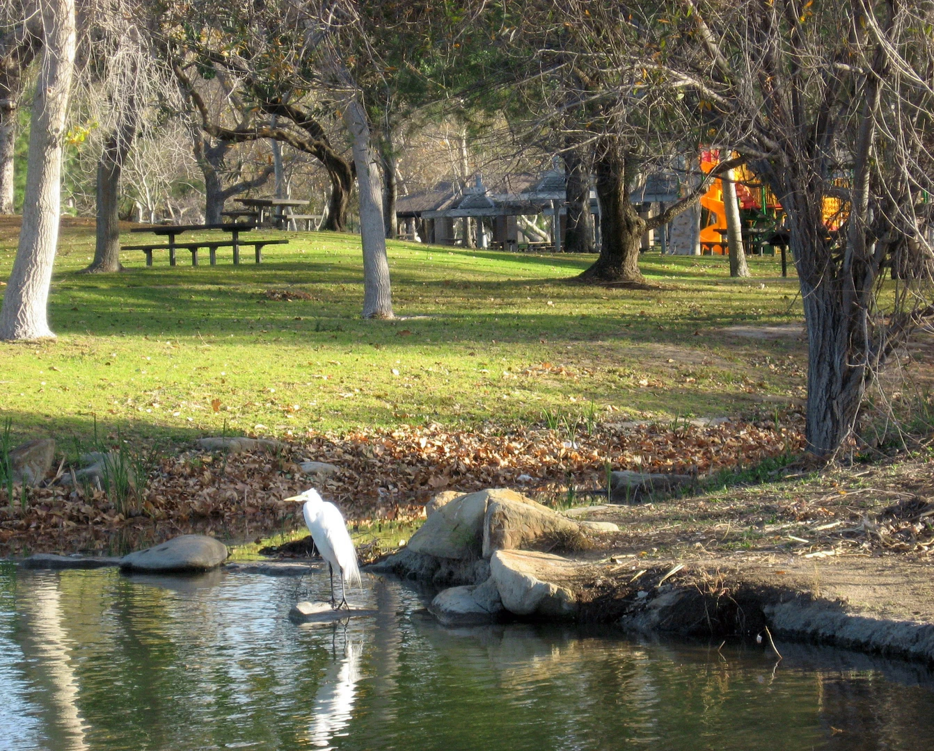 An image depicting the trail Santiago Creek Trail to Yorba Park and its surrounding area.