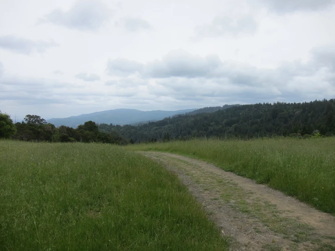 Bear Gulch - Alambique Loop Trail