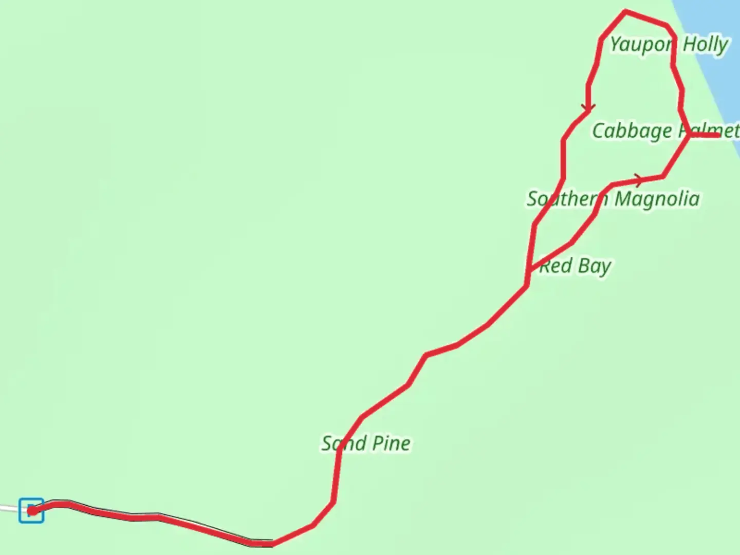 An image depicting the trail Maritime Hammock Trail and its surrounding area.