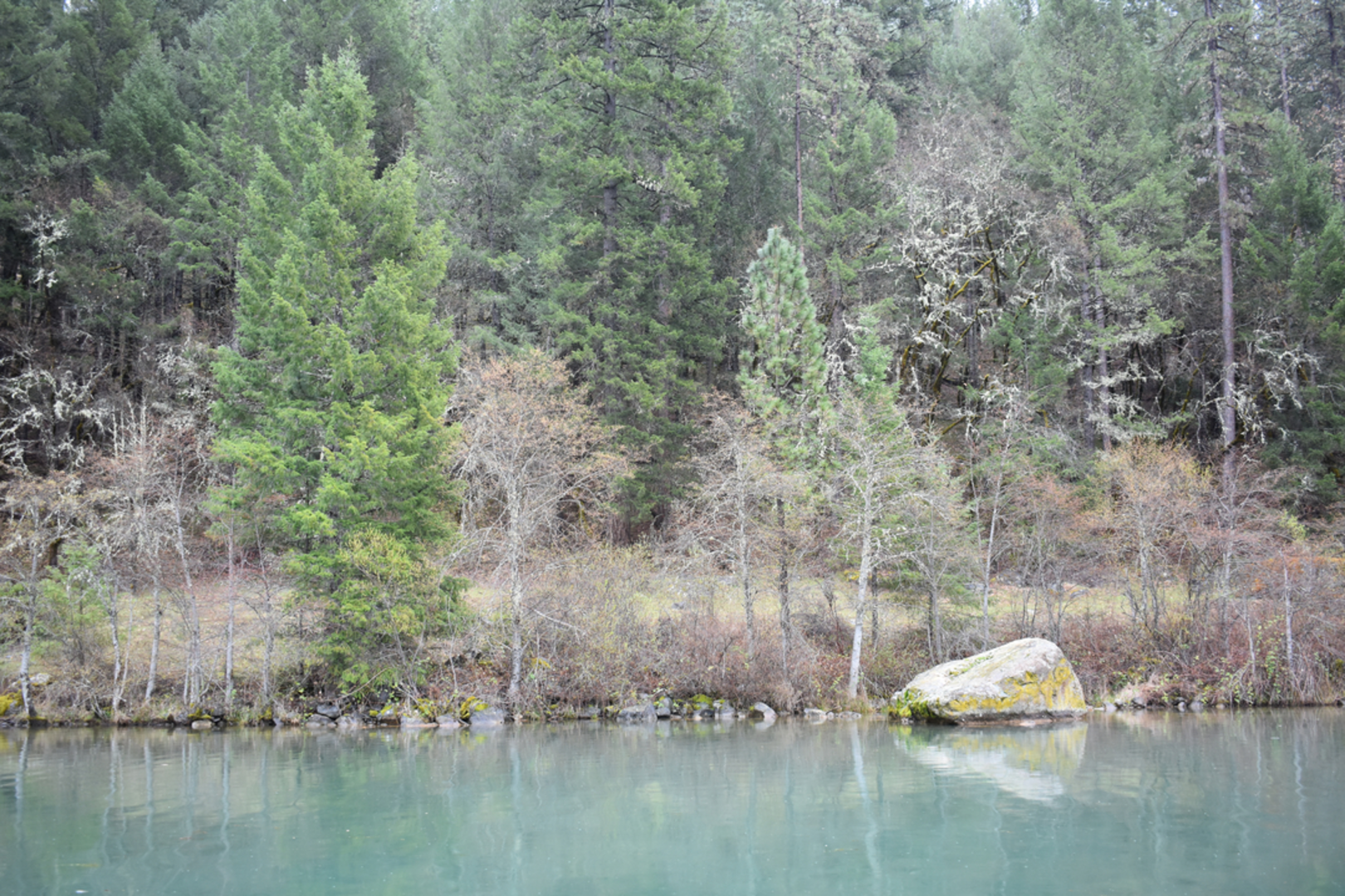 An image depicting the trail Lewiston Lakeshore Trail and its surrounding area.