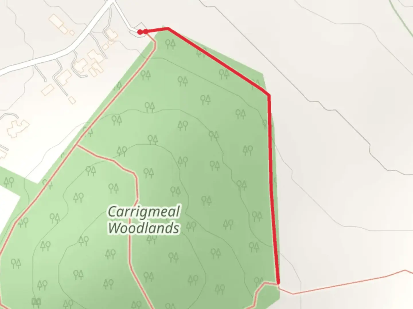 An image depicting the trail Carrigmeal Woodlands Loops - Sheep's Walk Trail and its surrounding area.