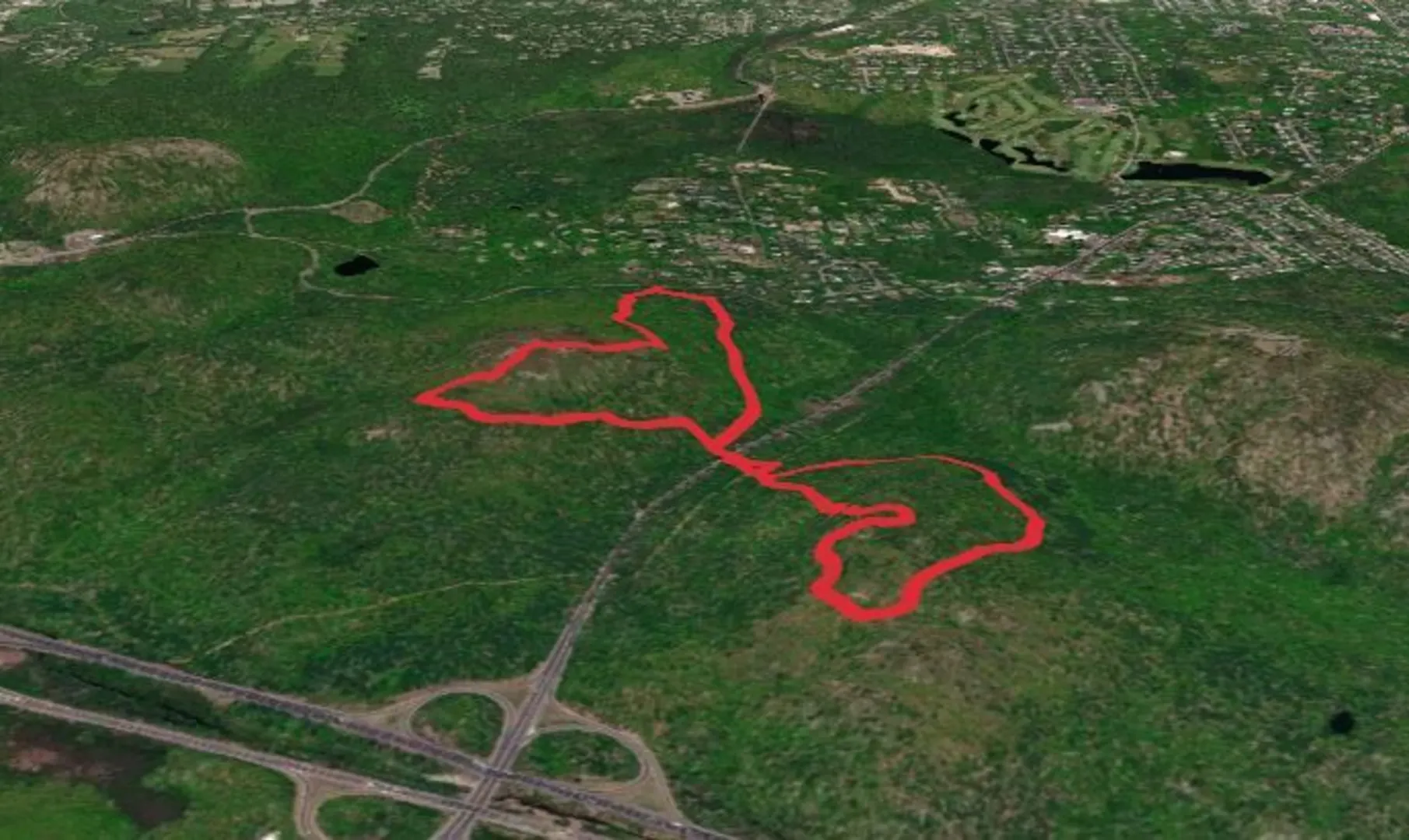 An image depicting the trail Buck Hill and Hawk Hill Loop Trail - Chickatawbut Road and its surrounding area.