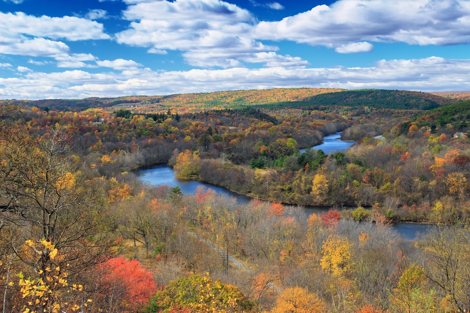 An image depicting the trail Fireline Trail Loop from Hickory Run and its surrounding area.