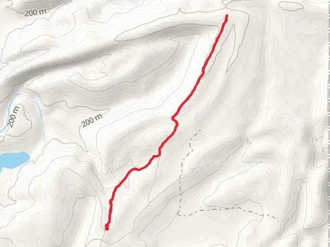 South Rim Out and Back