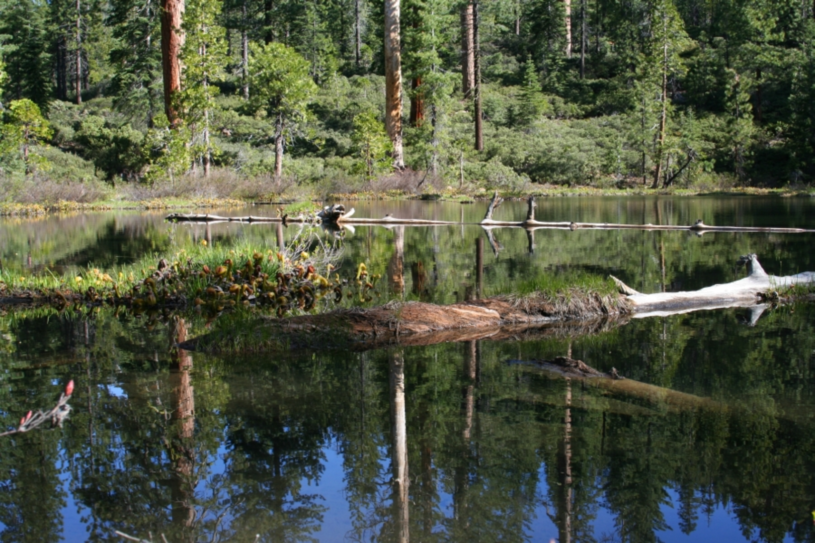 An image depicting the trail Twin Lakes via Fish Lake Creek Trail and its surrounding area.