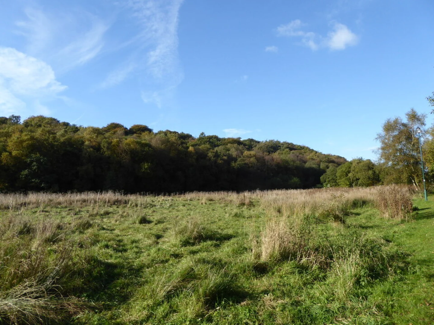An image depicting the trail Bathpool Park Loop and its surrounding area.