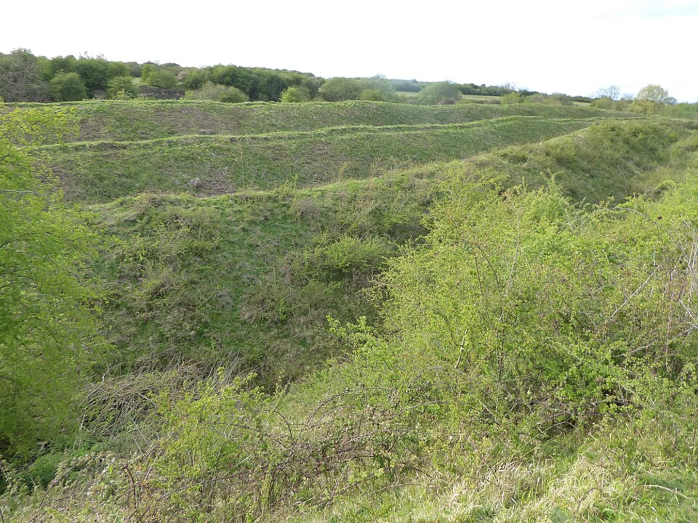 An image depicting the trail Twywell Hills and Dales Loop and its surrounding area.