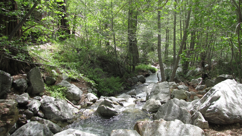 An image depicting the trail Icehouse Canyon Trail and its surrounding area.