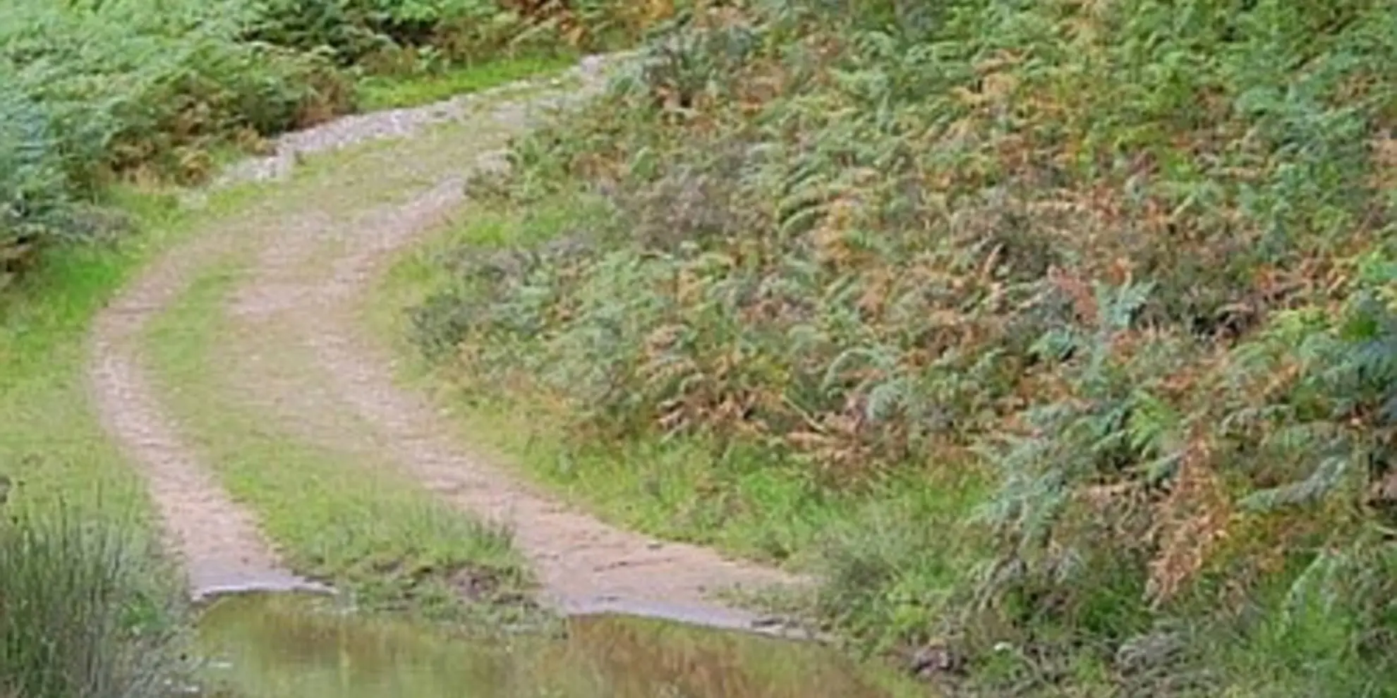 An image depicting the trail Haywood Slade and Sherbrook from Seven Springs and its surrounding area.