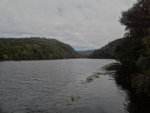 An image depicting the trail Whyte River Walk and its surrounding area.