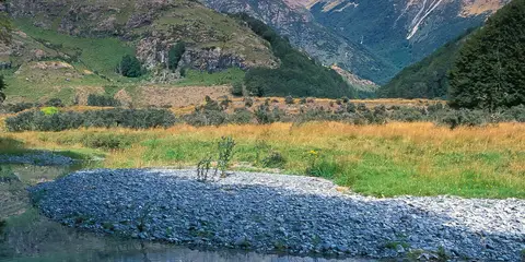 An image depicting the trail Greenstone and Caples Track and its surrounding area.