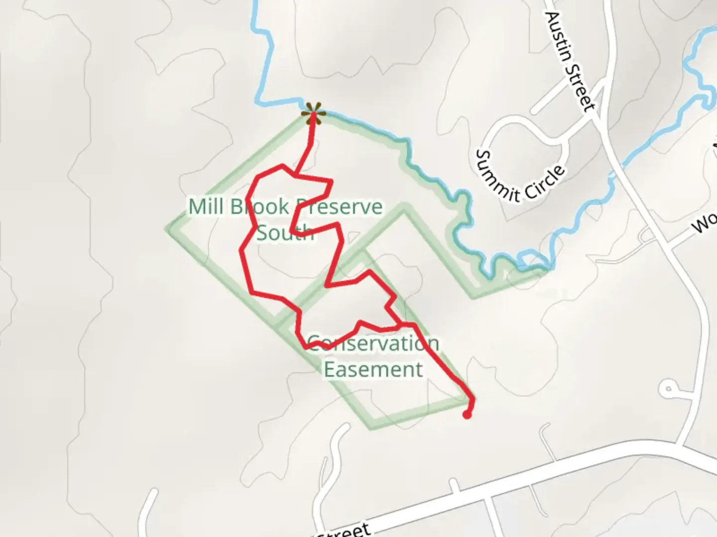 An image depicting the trail Mill Brook Loop and its surrounding area.