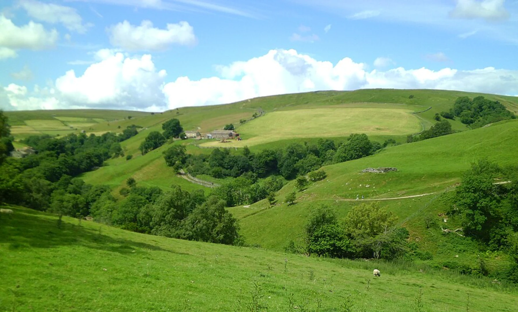 An image depicting the trail Stony Hill, Ivelet Wood and Birk Hill Loop and its surrounding area.