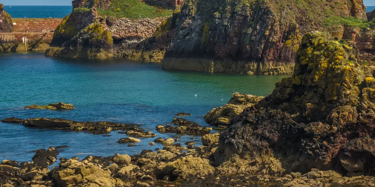 Dunbar Cliff top Trail - Dunbar