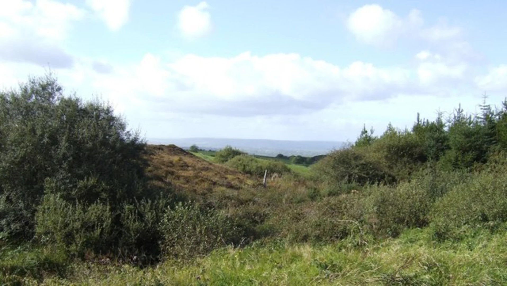 An image depicting the trail Ballinruan Loops - Gortnamearacaun Loop and its surrounding area.