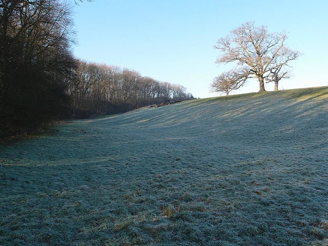 Woburn Pond and Palmer's Shrubs Loop