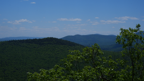An image depicting the trail Blueberry Mountain and its surrounding area.