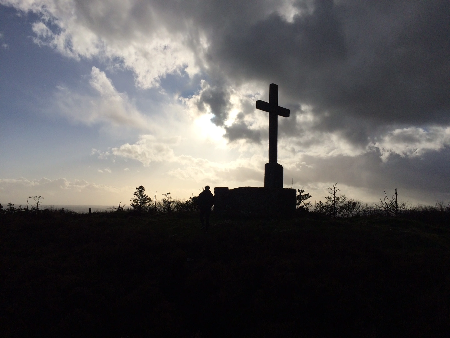 An image depicting the trail Tory Hill Loop and its surrounding area.