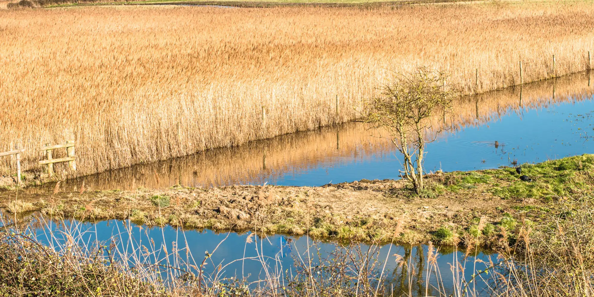 An image depicting the trail Around Burnham Market and its surrounding area.