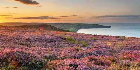 An image depicting the trail Robin Hood's Bay and Ravenscar and its surrounding area.