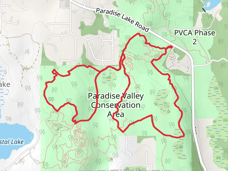 Southern Traverse Trail and Red Alder Trail