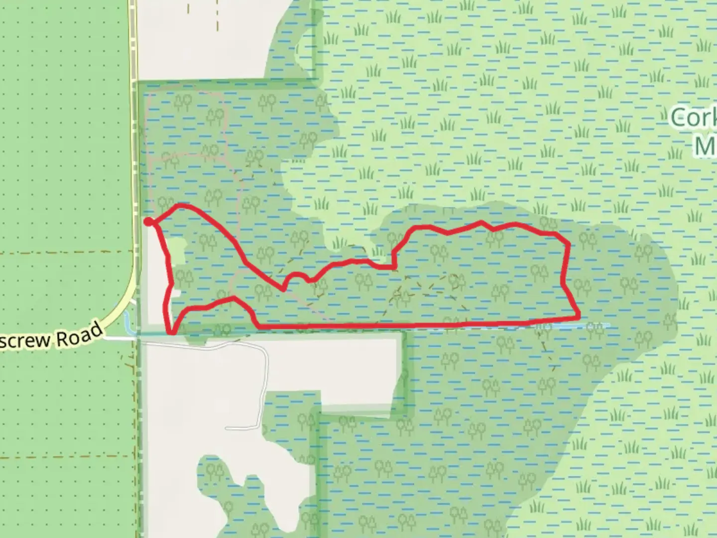 An image depicting the trail Crew Cypress Dome Primitive Campsite Loop and its surrounding area.