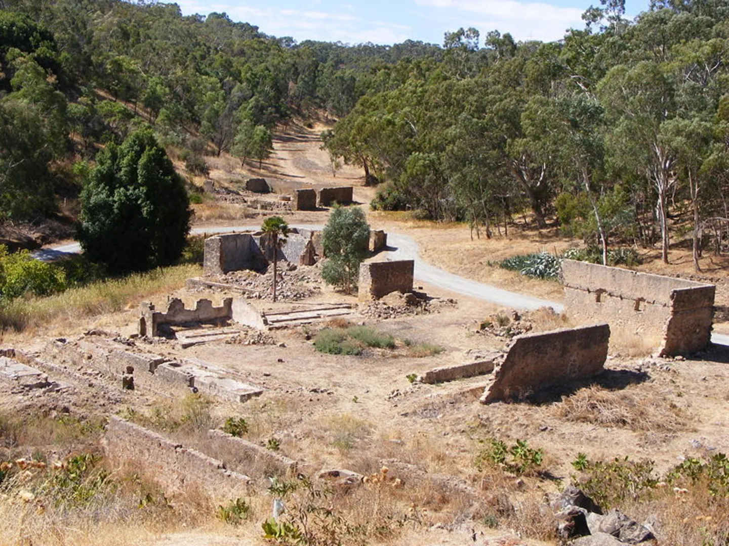 An image depicting the trail Yellowtail Loop Track and its surrounding area.