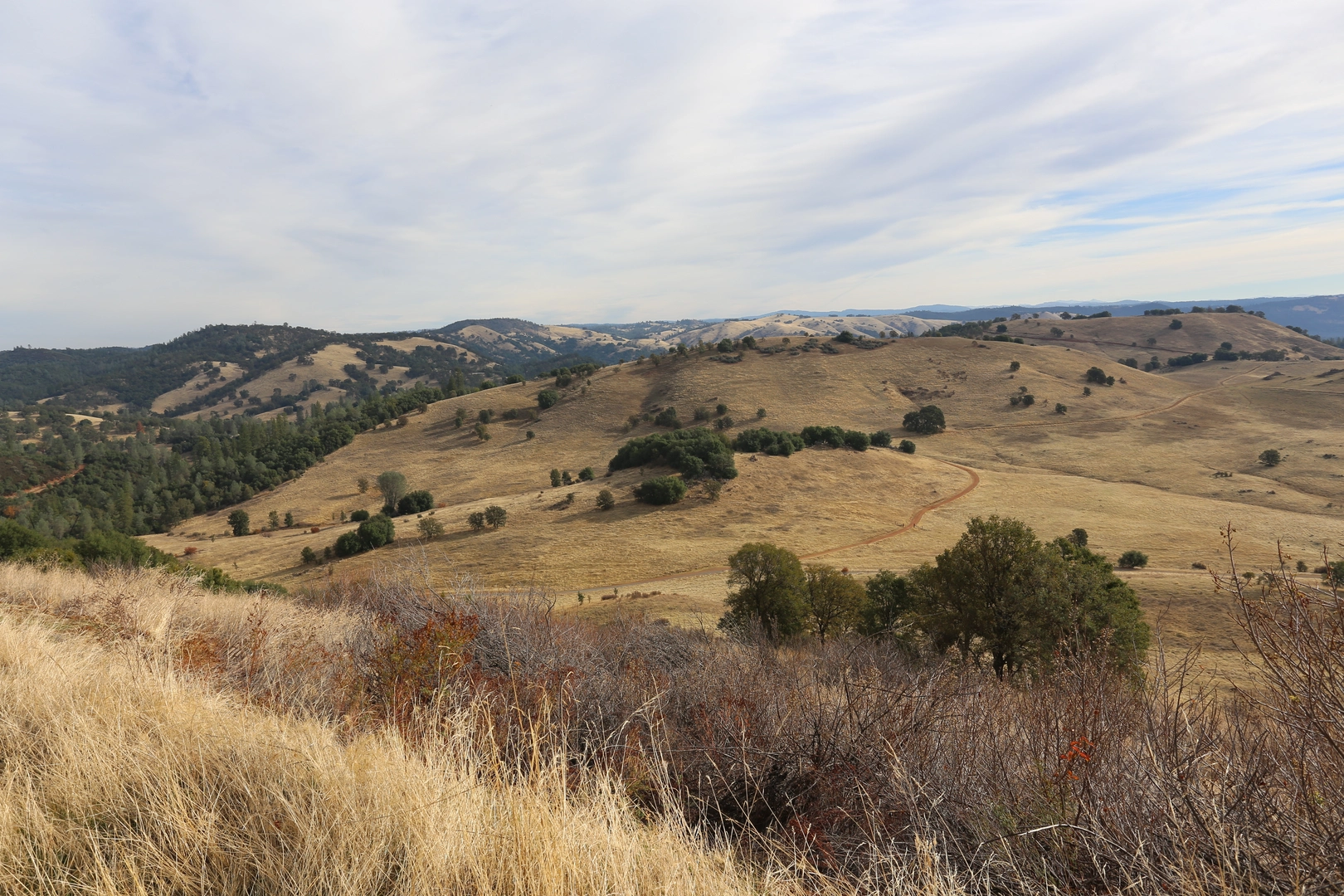 An image depicting the trail Cronan Ranch Regional Park Loop Trail and its surrounding area.