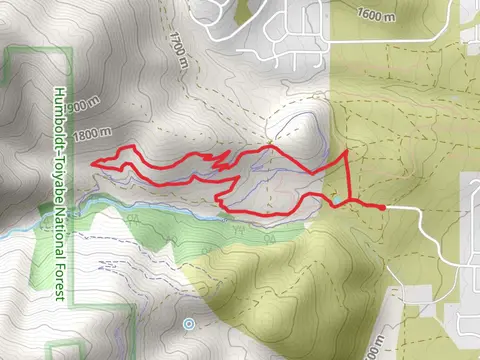 Baldy Green and Evidence Loop