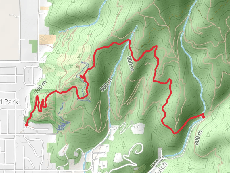 Trail 3, Trail A and Canfield Mountain Park Loop