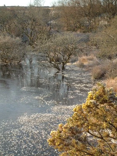 Stithians Reservoir Loop
