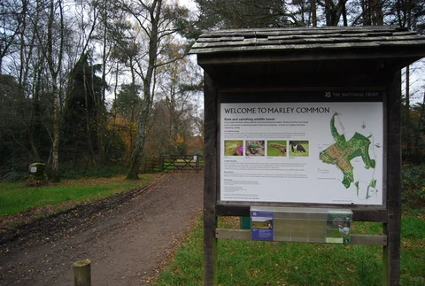 An image depicting the trail Marley Heights via The Serpent Trail and its surrounding area.