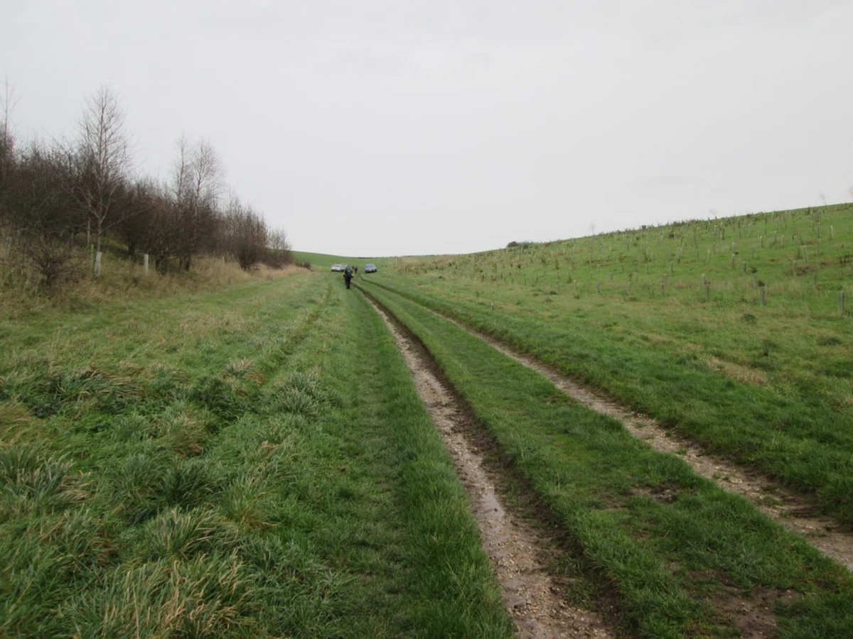 Sancton Loop