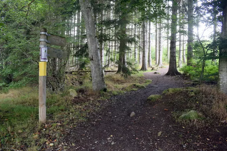 Millstone Hill Loop Trail