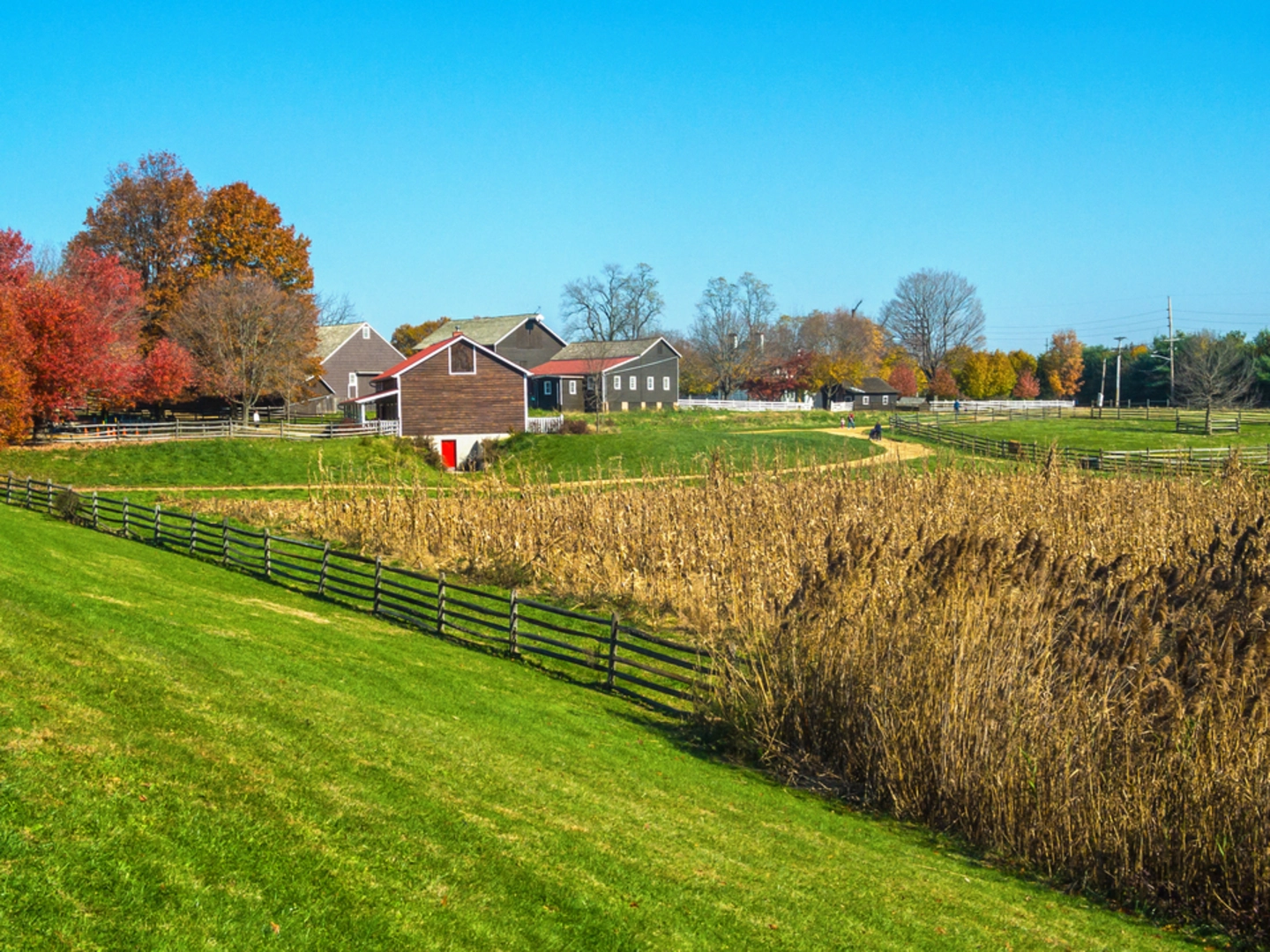 An image depicting the trail Holmdel Park Loop and its surrounding area.
