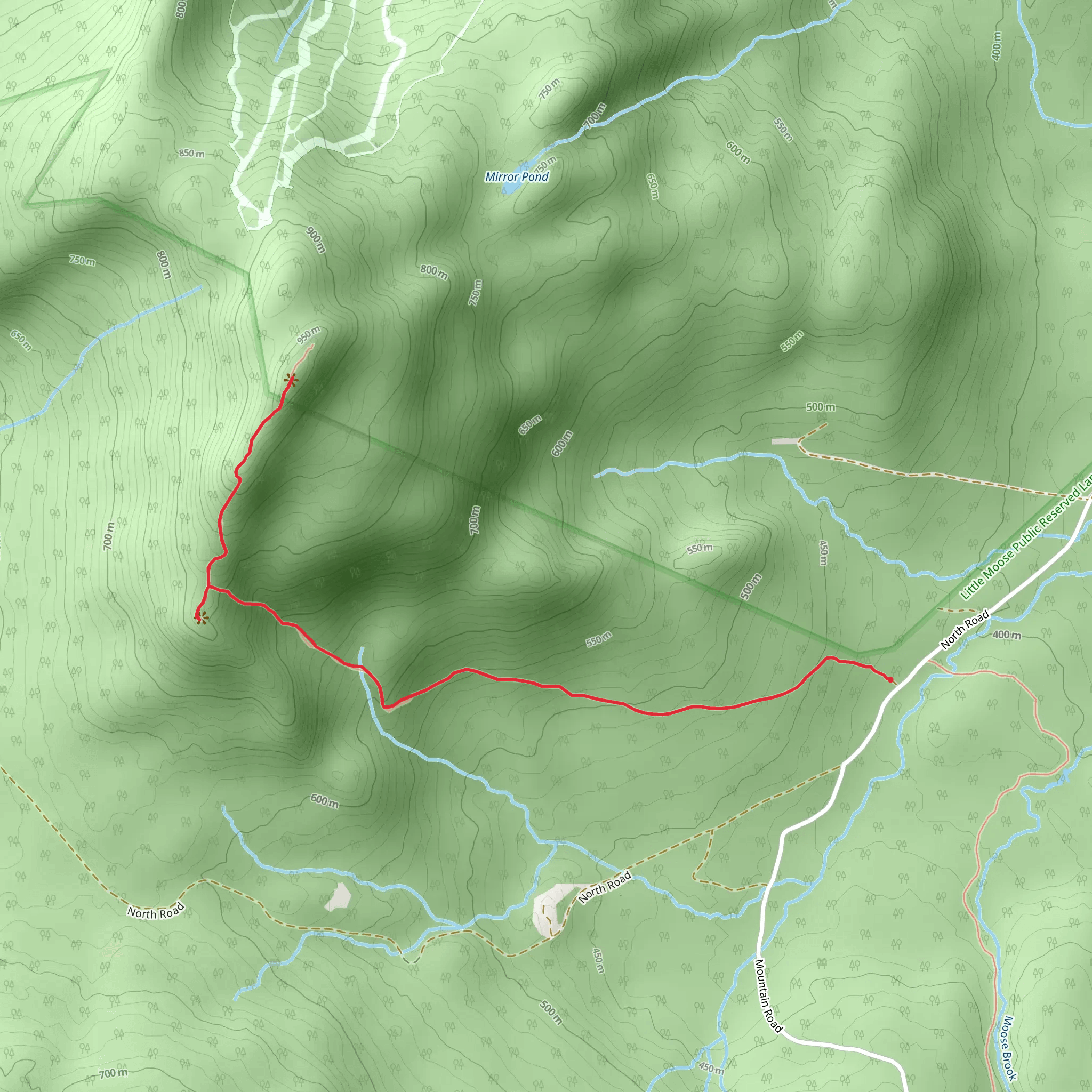 Big Moose Mountain Trail mobile static map