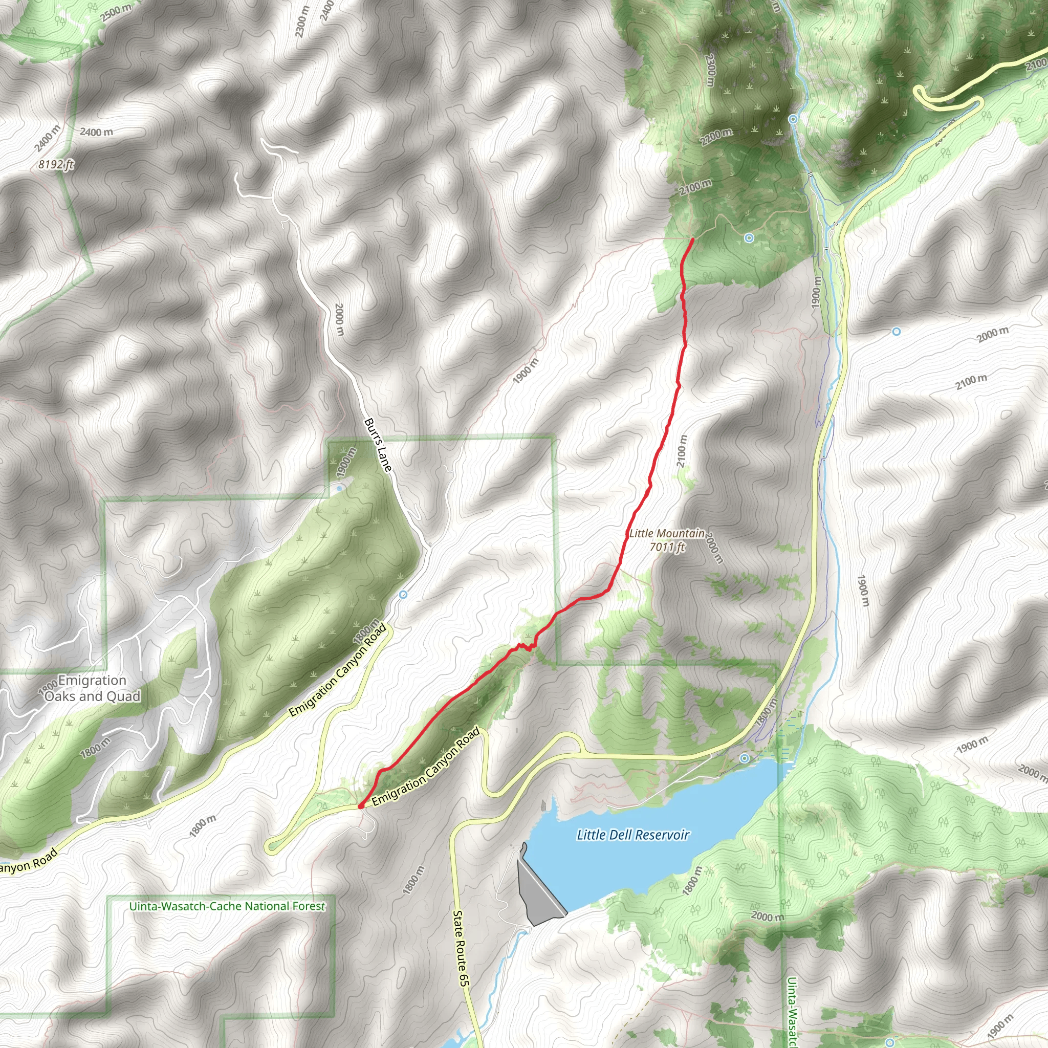 Lookout Peak Trail Out and Back mobile static map
