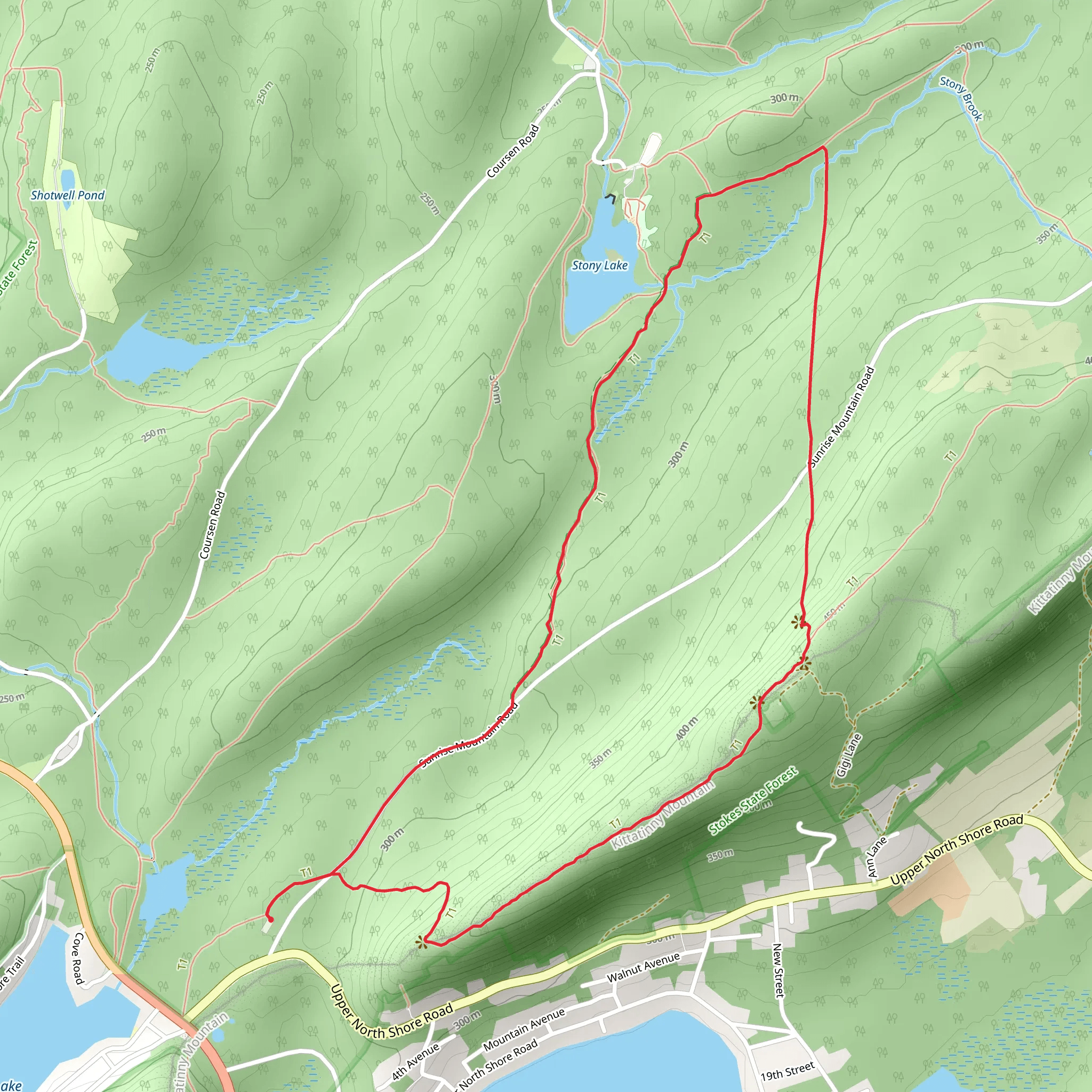 Stony Lake via Coursen Trail and Tower Trail mobile static map