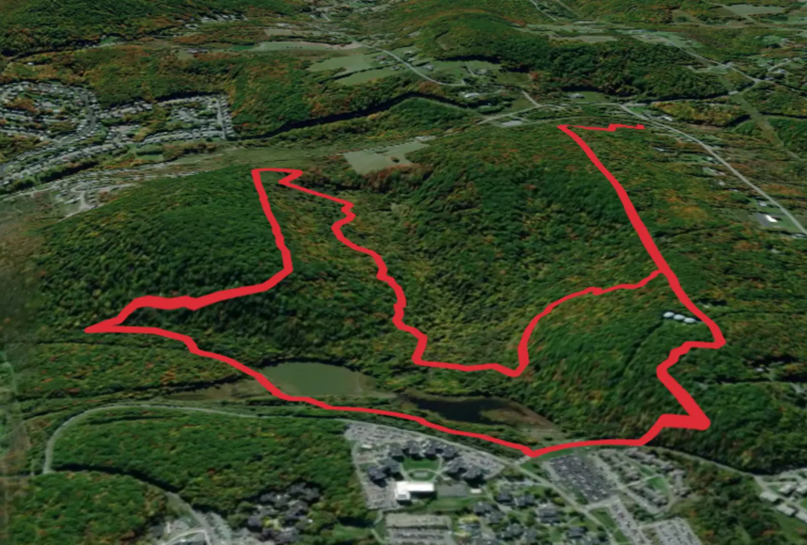An image depicting the trail Harpur Pond Loop and its surrounding area.