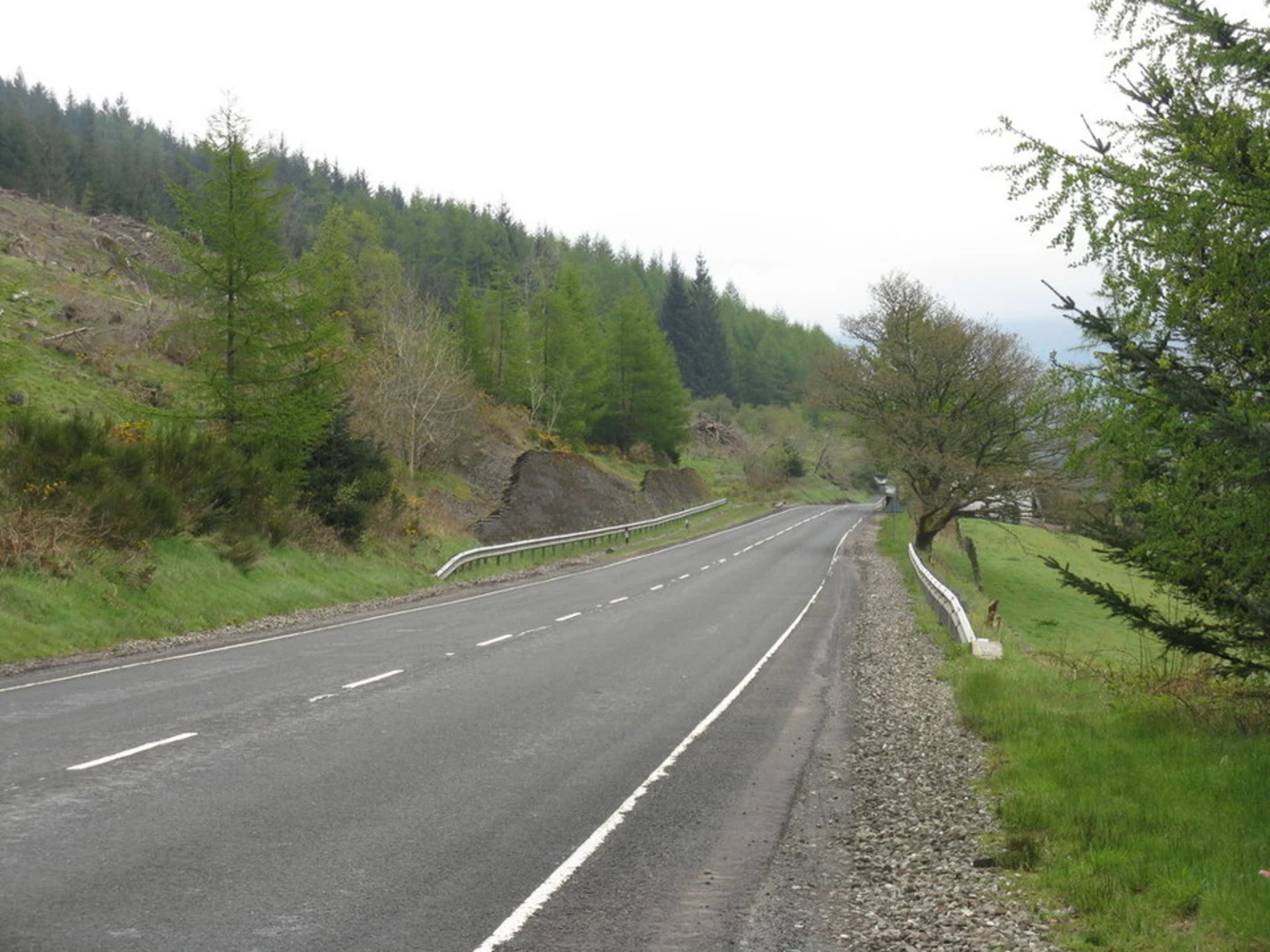 An image depicting the trail Tighanes Burn Loop - Strathyre and its surrounding area.
