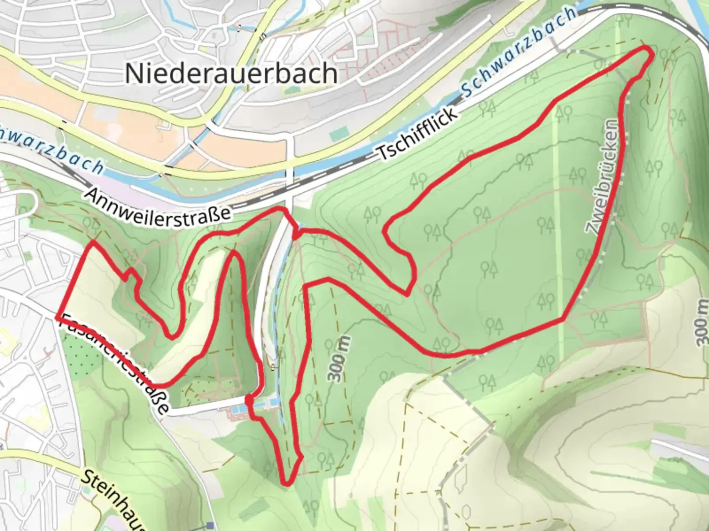 An image depicting the trail Saar Rhein Wanderweg and Pfaezerwald Rot Weisser Balken Loop and its surrounding area.