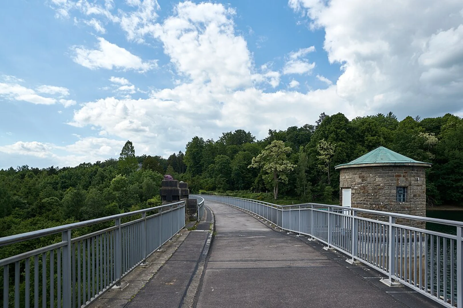 An image depicting the trail Neyetalsperre Loop and its surrounding area.