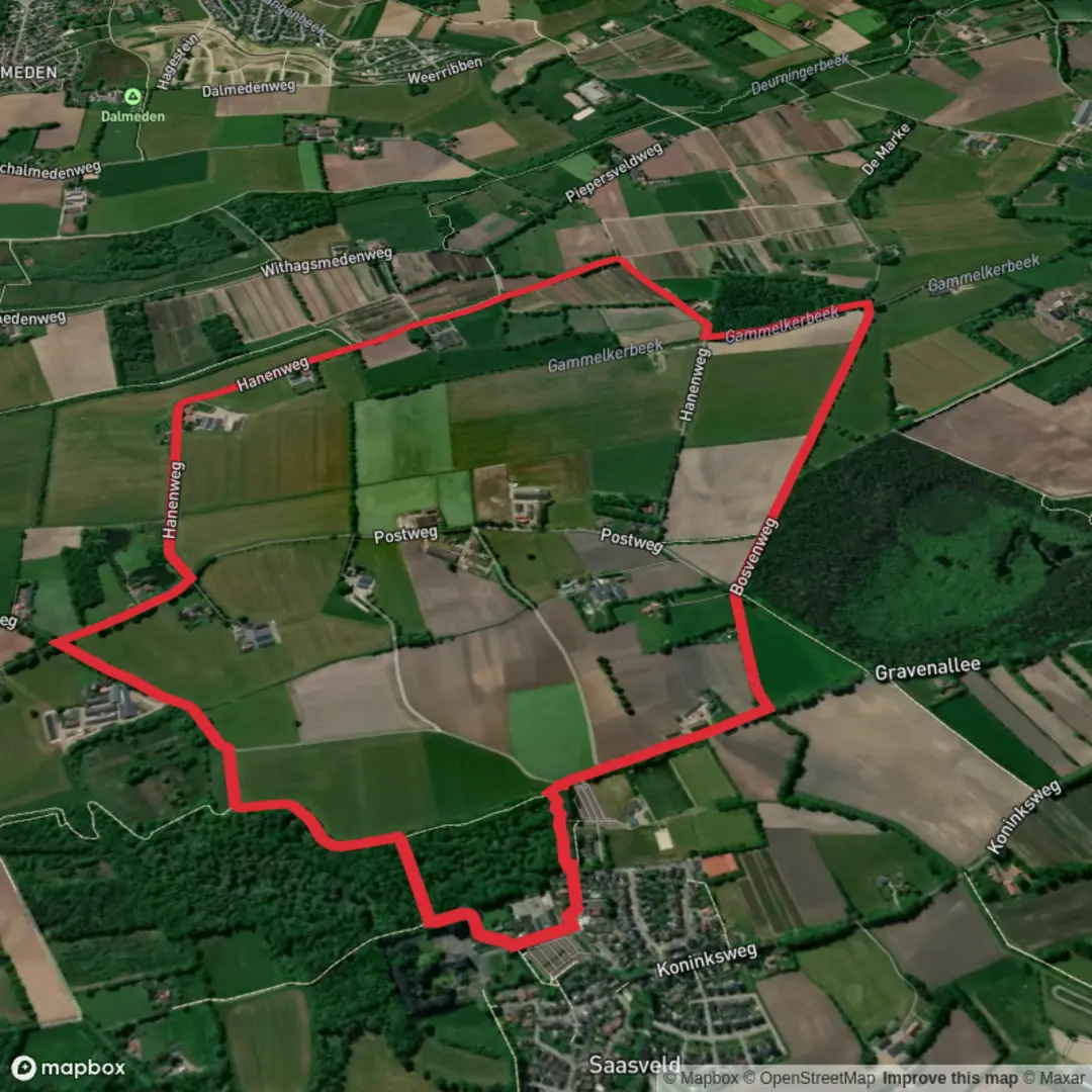 An image depicting the trail Gravenbosch and Bosven Weg and its surrounding area.