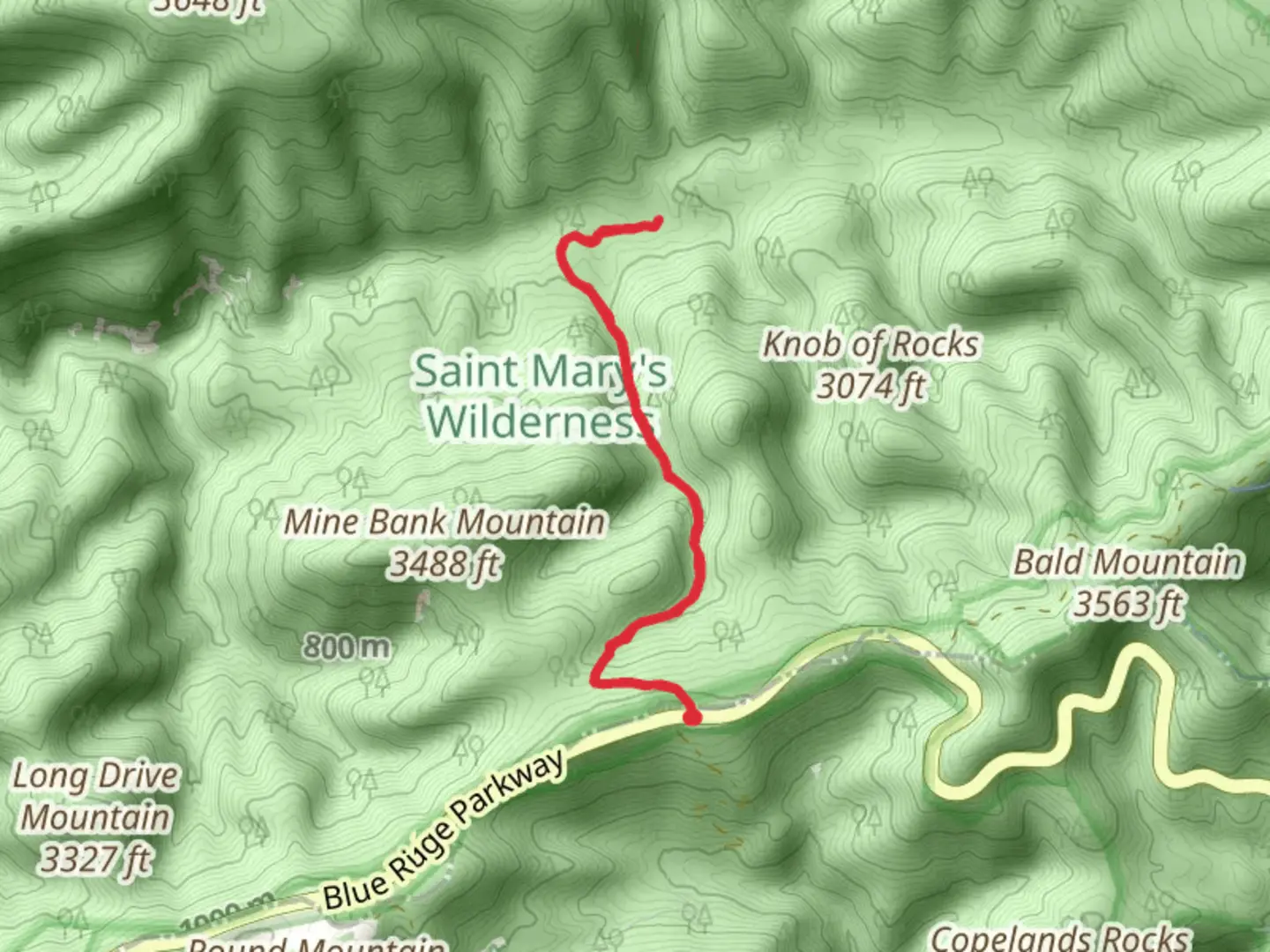 An image depicting the trail Mine Bank Creek Trail Out and Back and its surrounding area.